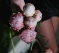 -SweetNatali- avatar