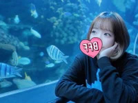 -YUA-jp avatar