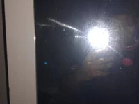 21_novinho avatar