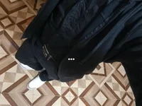 ALEX__FOX__ avatar