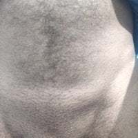 AnilSharma2021 avatar