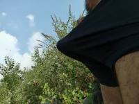 Ayoubb43 avatar
