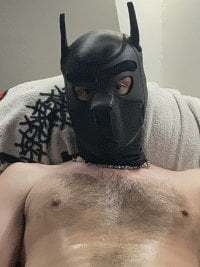 BigTail_CZ avatar