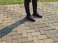 Black_Bold_Dick avatar