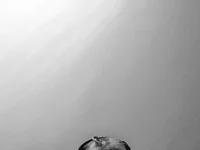 Blackxxx88123 avatar