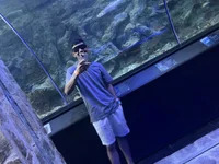 Brayan1-d avatar