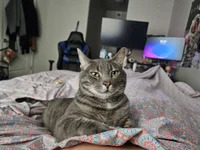BucolicHuman2112 avatar
