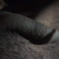 CallDick_ avatar