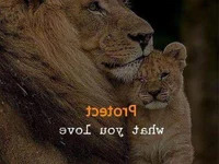 Cant_get_caught avatar
