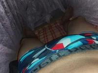 Casal31gy avatar