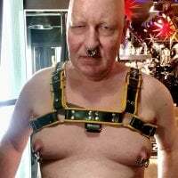 CgnWolf avatar