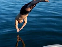 Colosso1099 avatar