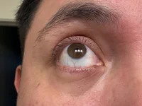 DanteVossX avatar