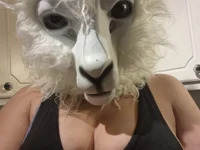 DollyLama avatar