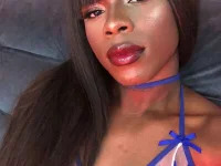 Elis_Cioccolato avatar