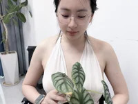 Erya-369 avatar