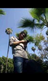 Ezequiel2409 avatar