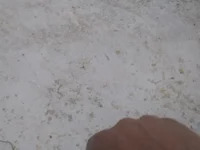 Fathi-niyakk avatar