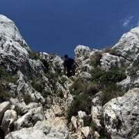 Firstthingsfirst avatar