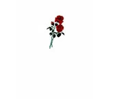 FlordeLotuxxx avatar