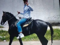 GoatULTRA avatar