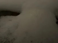 Goonytwinky avatar
