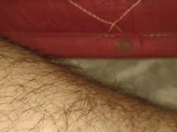 Hairyboysexy1 avatar