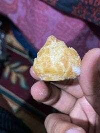 HangdogBeggary avatar