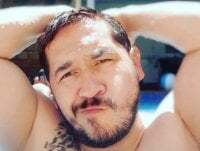 HiddenBear avatar