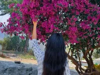 Indian_priya_ avatar