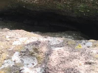 Isco2529 avatar