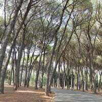 Jacquouille06500 avatar