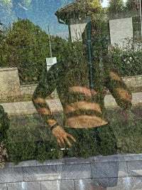 JaquelineandJulian avatar