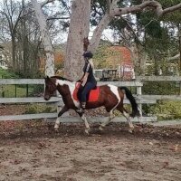Journie_Rose avatar