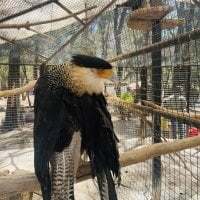 JuanSanchez6458 avatar