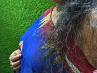 LOVETITLI avatar