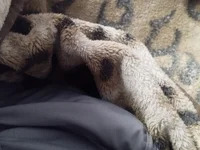 Magrinsex69 avatar