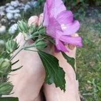Mandra_is_a_whore avatar
