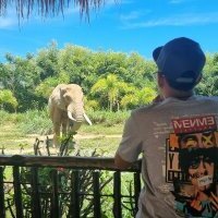 MisterSexCasual avatar