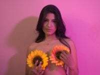 MisteryNight4 avatar