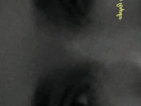 Mitikaa_ avatar