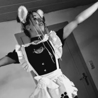 MiyuKitten avatar