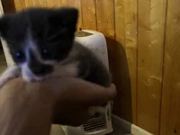 Mr11inchesnluvv avatar