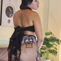 NovaFoxx avatar