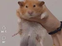 OSITA8495 avatar