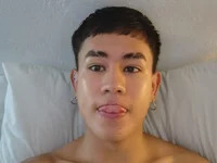 ObsidianeX avatar
