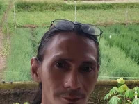 Pongky83 avatar