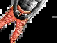 PrestonSteel avatar