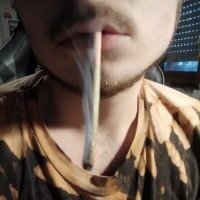 Purple_Flamingo avatar