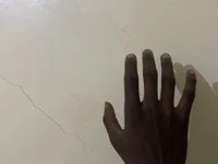 Pussyking254 avatar